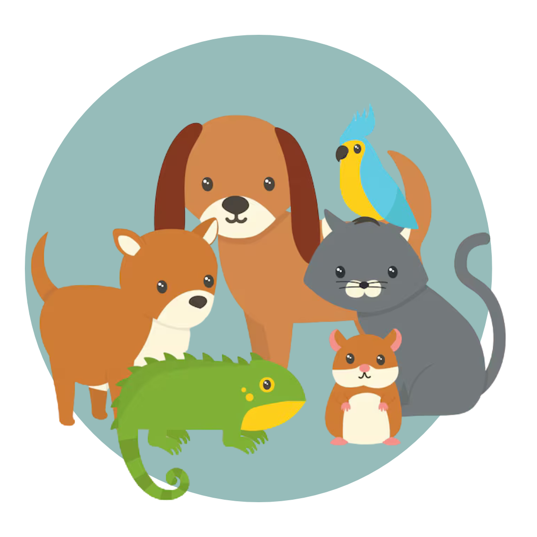 Pets