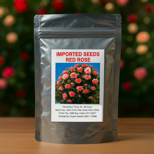 Elegant Climbing Rose Flower Seeds-IMPORTED